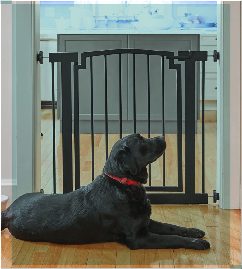 Puertas para Maascotas